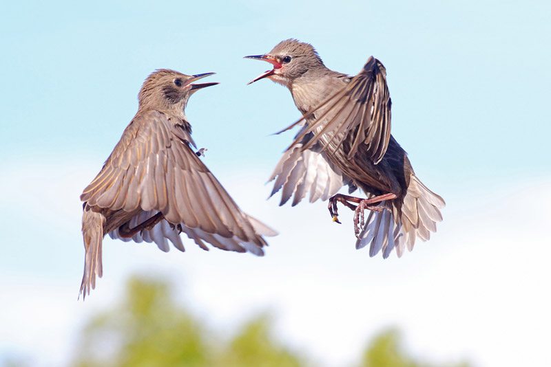 NYIP Photo Articles Photography s Decisive Moment